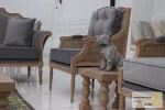 ست مبلمان کلاسیک چوبی و مدرن مدل کارن خرید مبل باروس 8