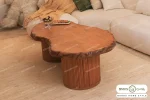 میز جلومبلی روستیک جدید ستاره خرید باروس 2 (1)
