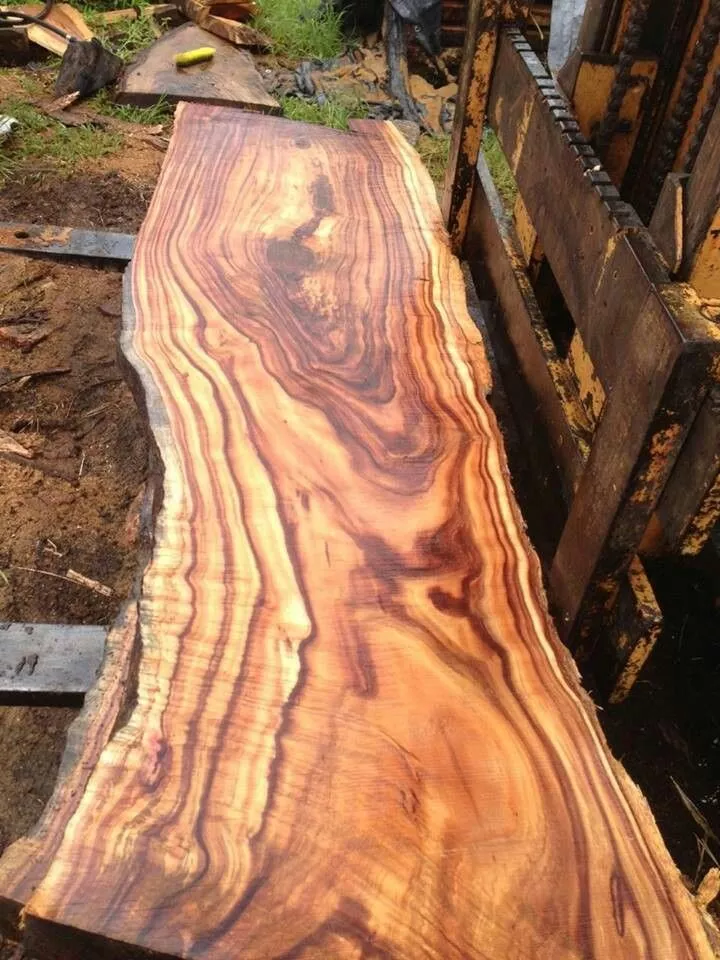 چوب راش استفاده شده در مبل مدرن- وبلاگ مبل باروس