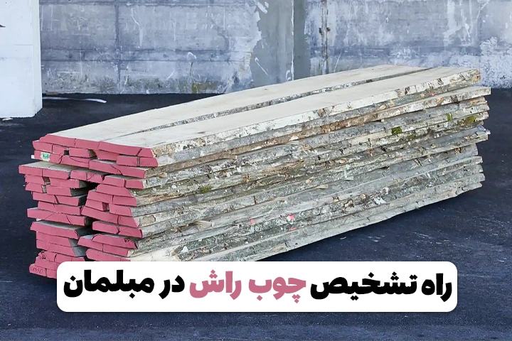 راه تشخیص چوب راش در مبلمان قدم به قدم راه تشخیص چوب راش در مبلمان وبلاگ مبل باروس