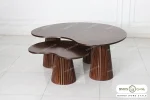 میز جلو مبلی و عسلی چوبی ژاکلین