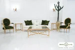 ست مبلمان نئوکلاسیک طرح جدید چیکا خرید مبل باروس 39493 (3)