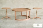میز جلومبلی پوکو با میز عسلی فونیکس خرید مبل باروس ۴۹۴۹۴ (2)