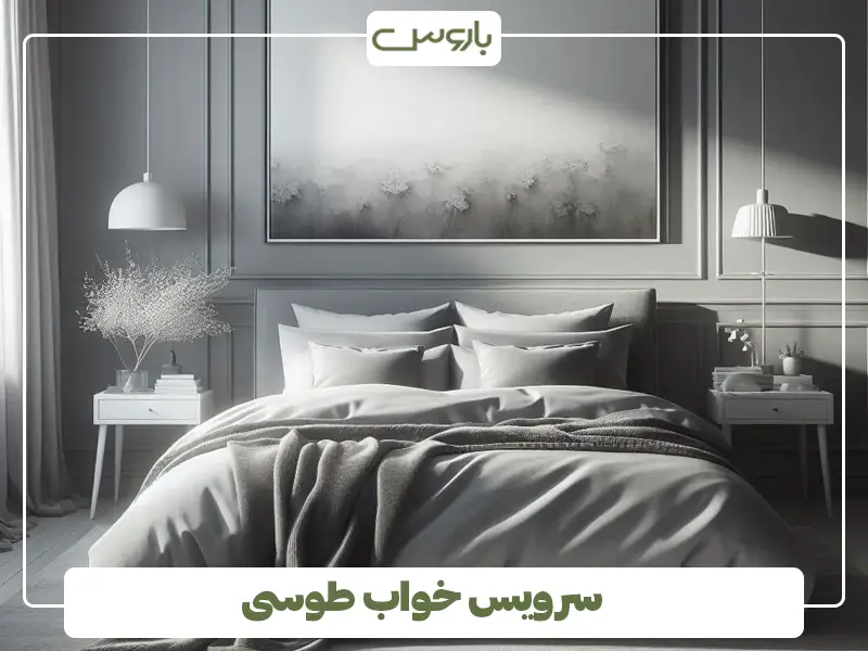 سرویس خواب طوسی
