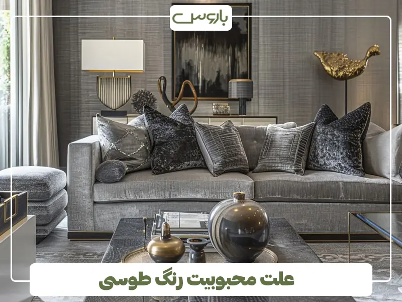 علت محبوبیت رنگ طوسی