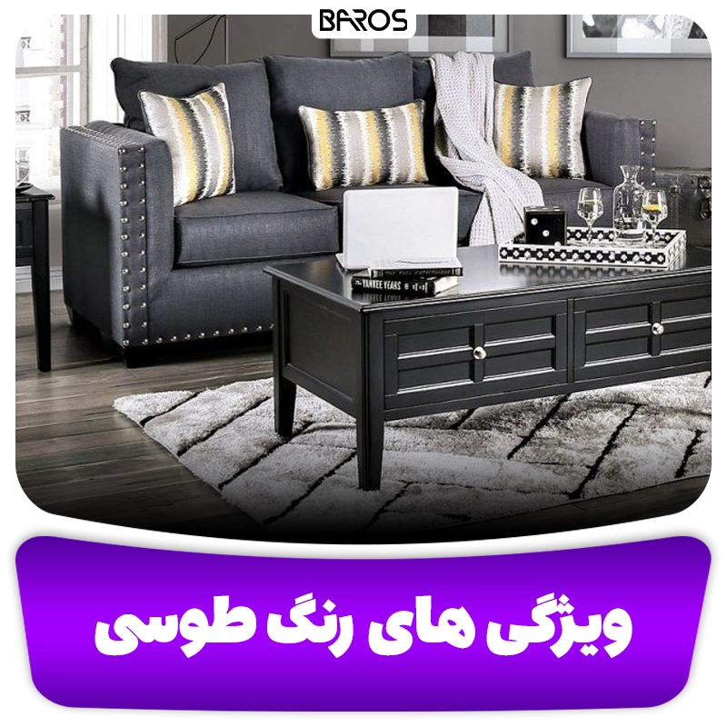 ویژگی های رنگ طوسی