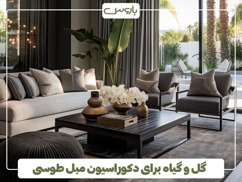 گل و گیاه برای دکوراسیون مبل طوسی