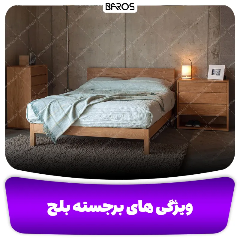 ویژگی های برجسته سرویس خواب بلج