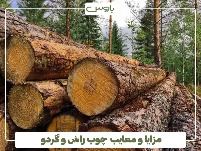 مزایا و معایب چوب راش و گردو