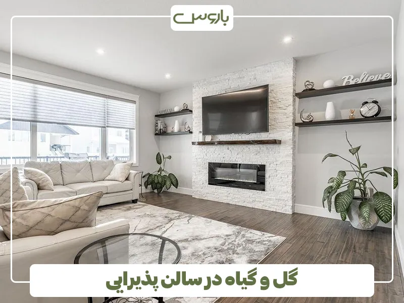 گل و گیاه در سالن پذیرایی