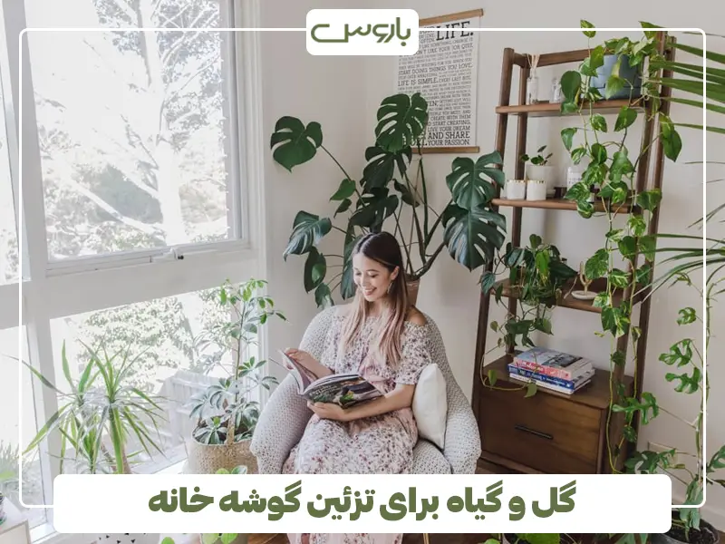 گل و گیاه برای تزئین گوشه خانه