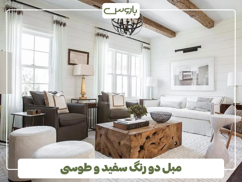 مبل دو رنگ سفید و طوسی (1)