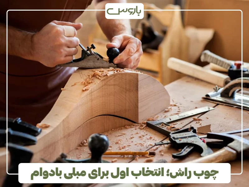 چوب راش؛ انتخاب اول برای مبلی بادوام (1)