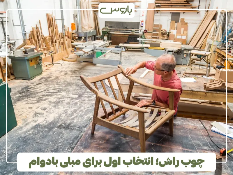 چوب راش؛ انتخاب اول برای مبلی بادوام (2)