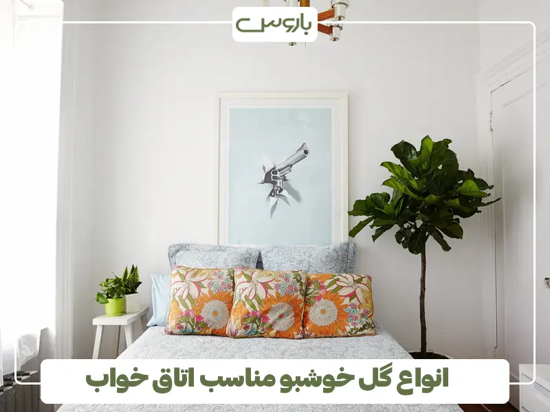 انواع گل خوشبو مناسب اتاق خواب