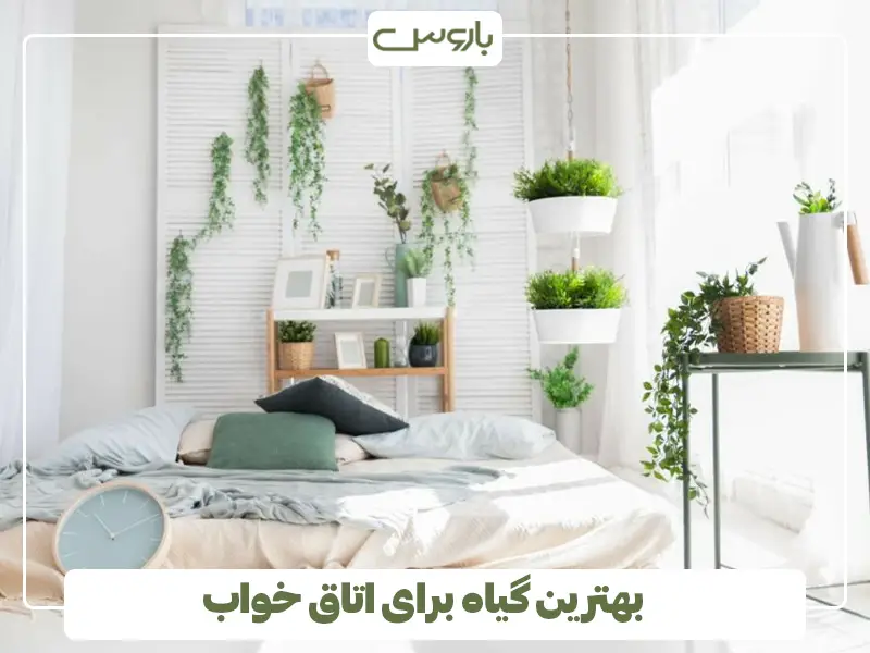 بهترین گیاه برای اتاق خواب