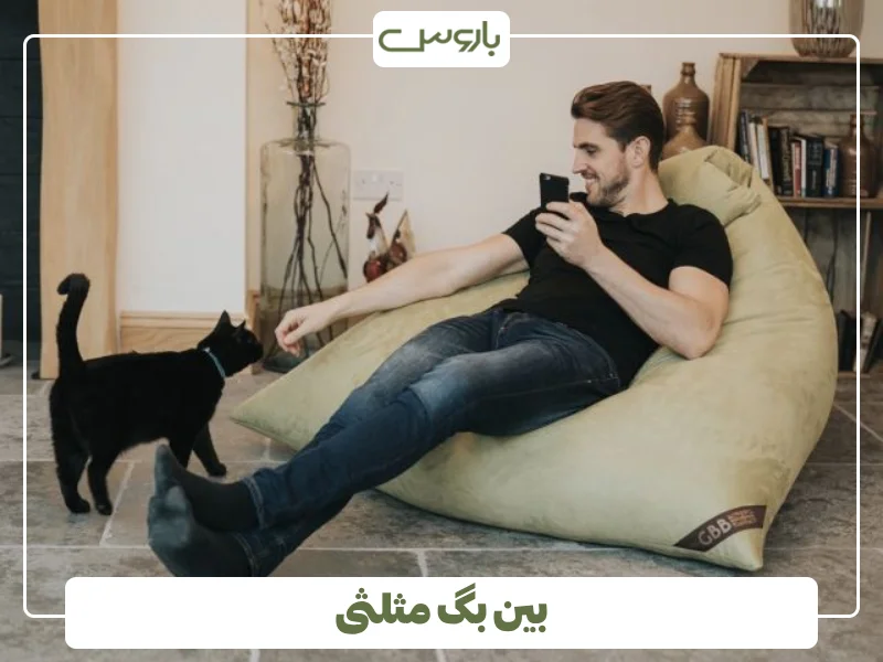 بین بگ مثلثی (2)