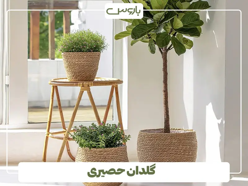 گلدان حصیری