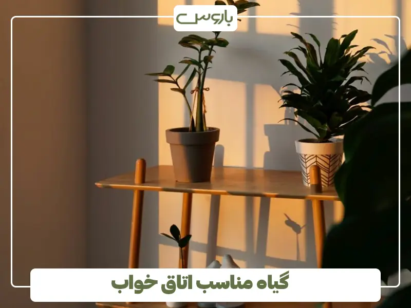 گیاه مناسب اتاق خواب