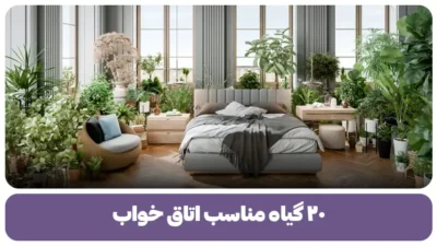 گیاه مناسب اتاق خواب