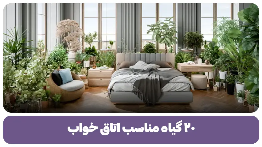گیاه مناسب اتاق خواب