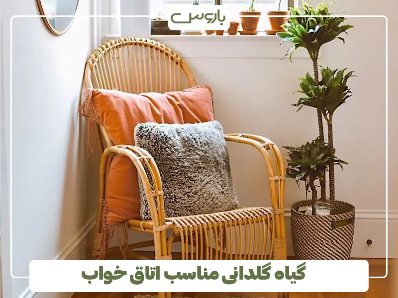 گیاه گلدانی مناسب اتاق خواب