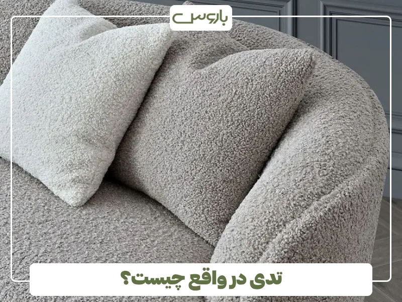 تدی در واقع چیست؟