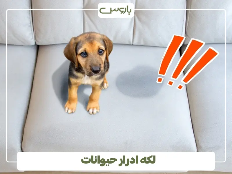 لکه ادرار حیوانات