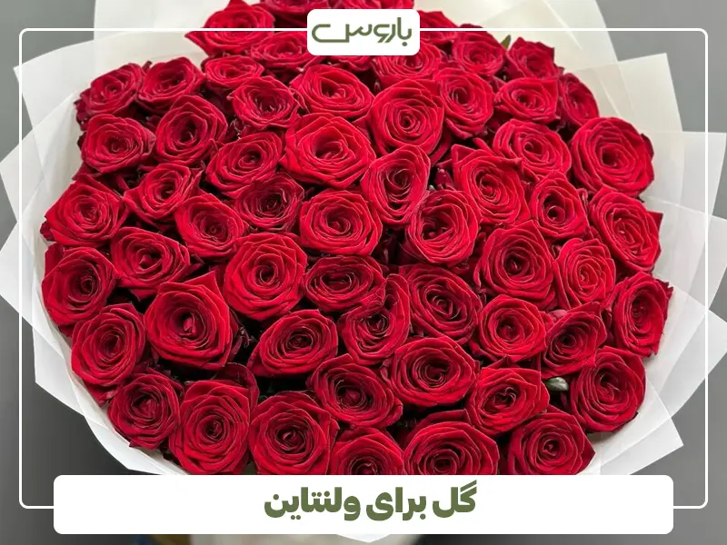 گل برای ولنتاین