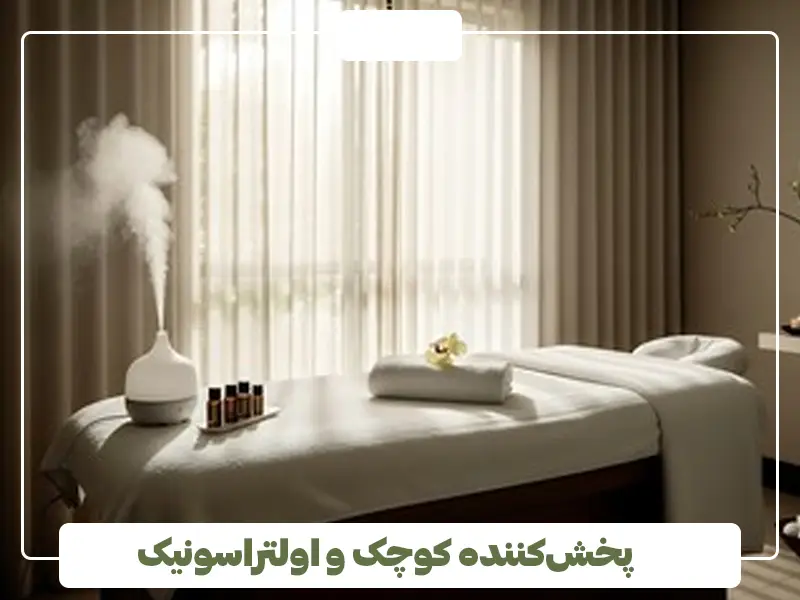 یک پخش‌کننده کوچک و اولتراسونیک