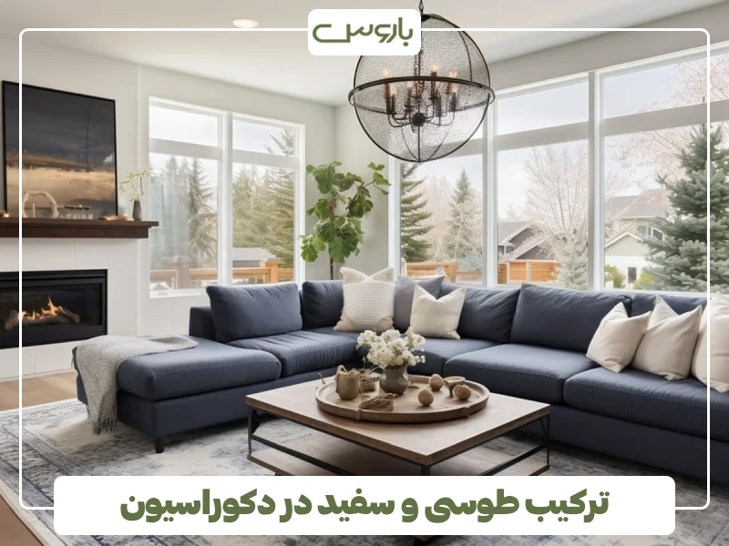 ترکیب طوسی و سفید در دکوراسیون (1)