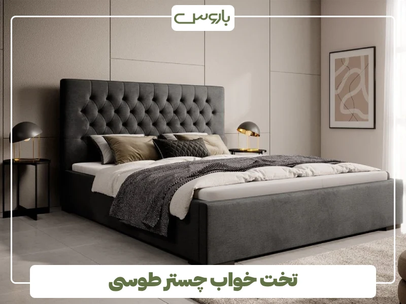 تخت خواب چستر طوسی (1)