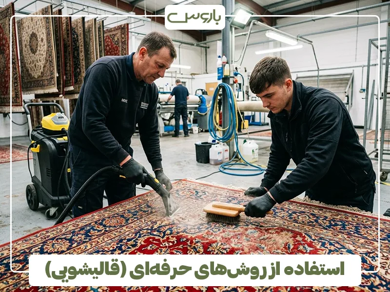 استفاده از روش های حرفه ای (قالیشویی)