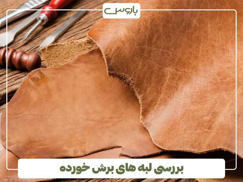 بررسی لبه های برش خورده بررسی لبه های برش خورده