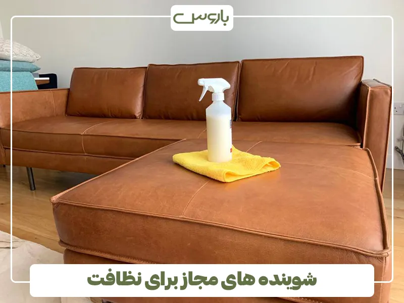 شوینده های مجاز برای نظافت شوینده های مجاز برای نظافت