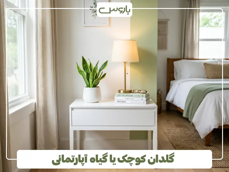گلدان کوچک یا گیاه آپارتمانی