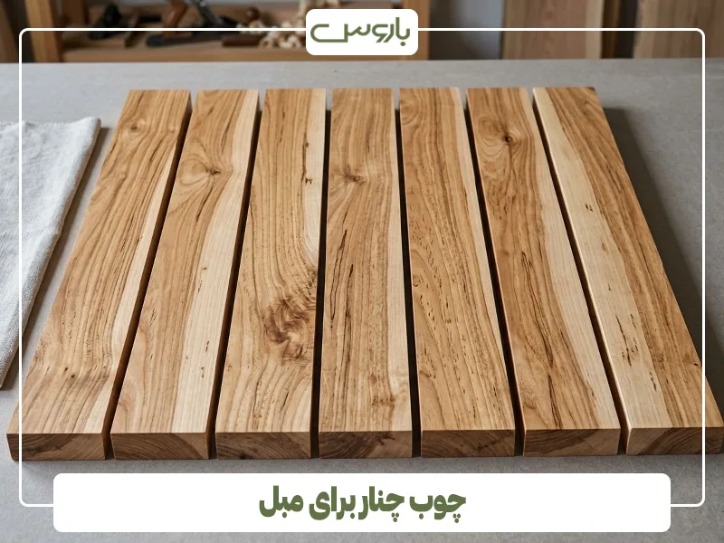 چوب چنار برای مبل چوب چنار برای مبل