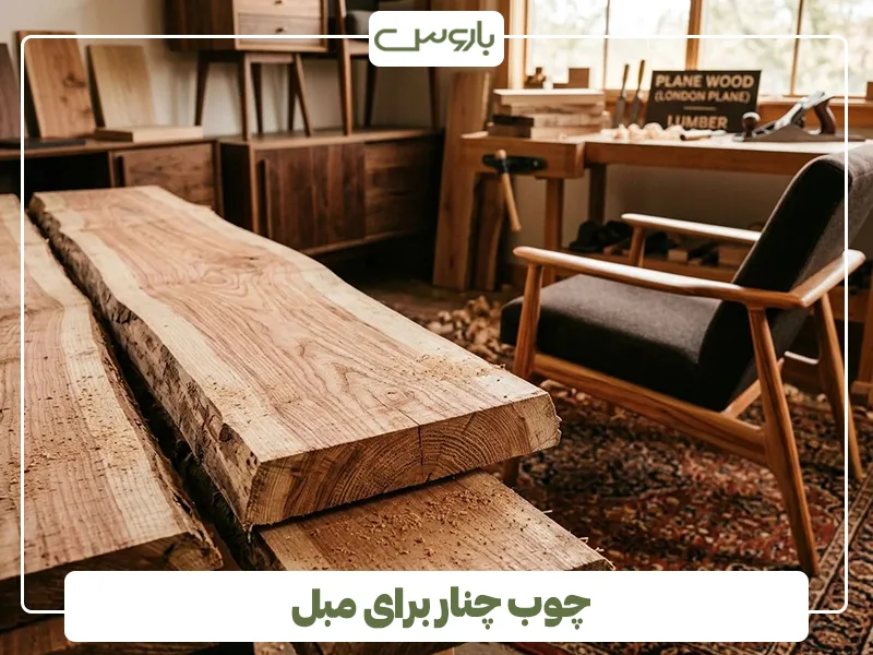 چوب چنار برای مبل چوب چنار برای مبل