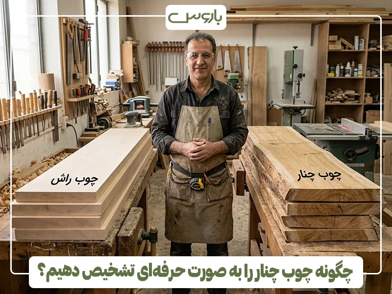 چگونه چوب چنار را به صورت حرفه ای تشخیص دهیم؟ چگونه چوب چنار را به صورت حرفه ای تشخیص دهیم؟