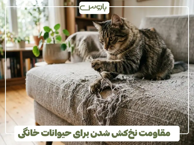 مقاومت نخ کش شدن برای حیوانات خانگی