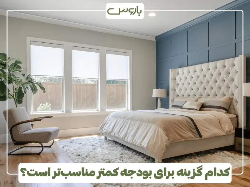 کدام گزینه برای بودجه کمتر مناسب تر است؟