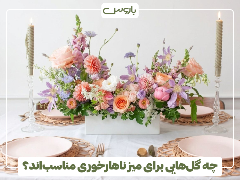 چه گل هایی برای میز ناهارخوری مناسب اند؟ چه گل هایی برای میز ناهارخوری مناسب اند؟