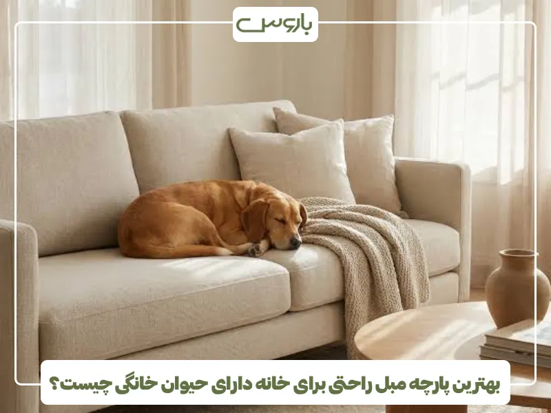 بهترین پارچه مبل راحتی برای خانه دارای حیوان خانگی چیست؟