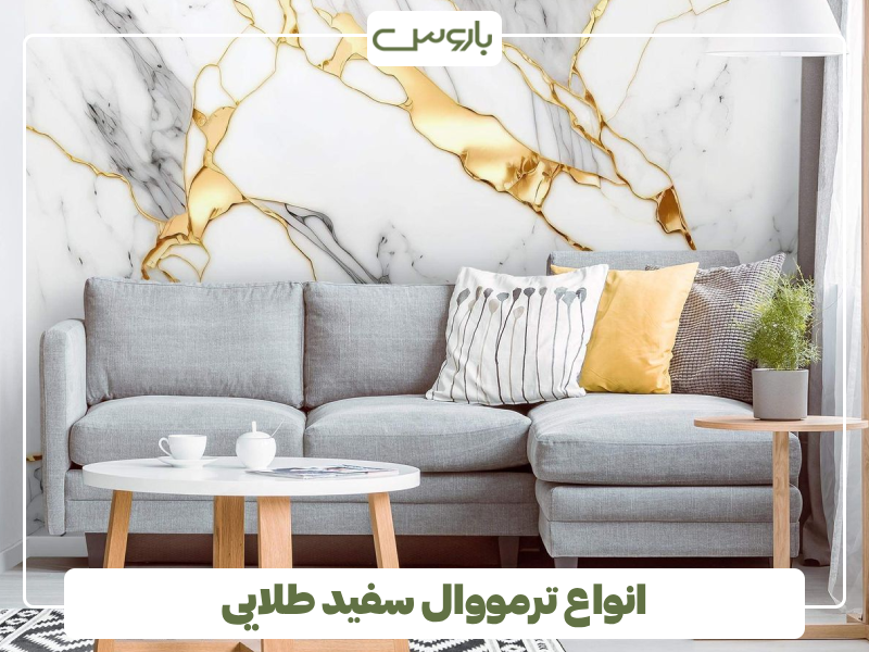 انواع ترمووال سفید طلایی انواع ترمووال سفید طلایی