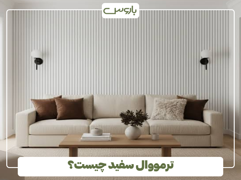 ترمووال سفید چیست؟ ترمووال سفید چیست؟