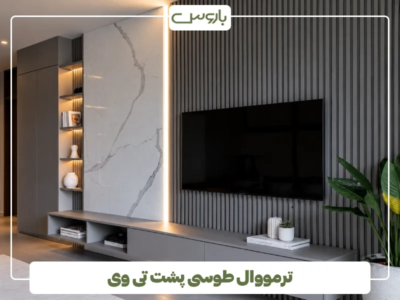 ترمووال طوسی پشت تی وی (1)
