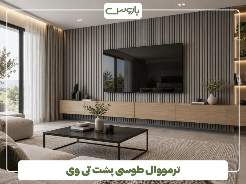 ترمووال طوسی پشت تی وی
