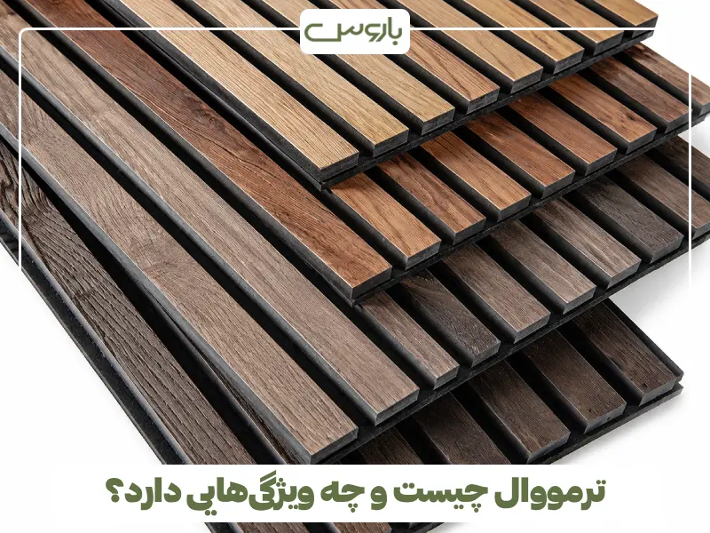 ترمووال چیست و چه ویژگی هایی دارد؟