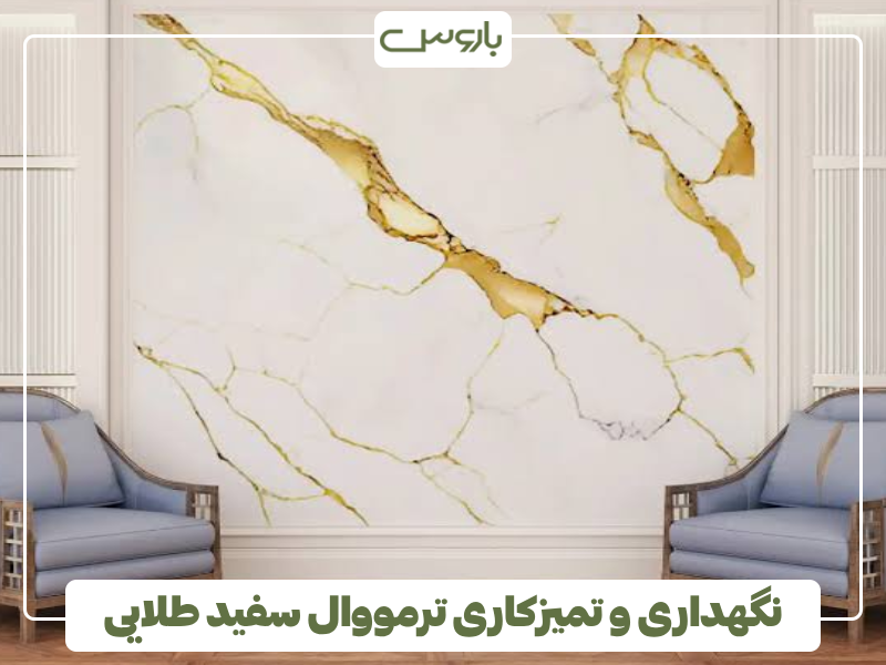 نگهداری و تمیزکاری ترمووال سفید طلایی نگهداری و تمیزکاری ترمووال سفید طلایی
